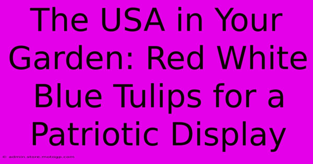 The USA In Your Garden: Red White Blue Tulips For A Patriotic Display