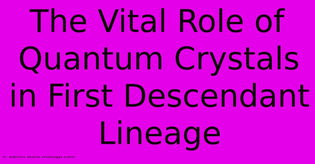 The Vital Role Of Quantum Crystals In First Descendant Lineage