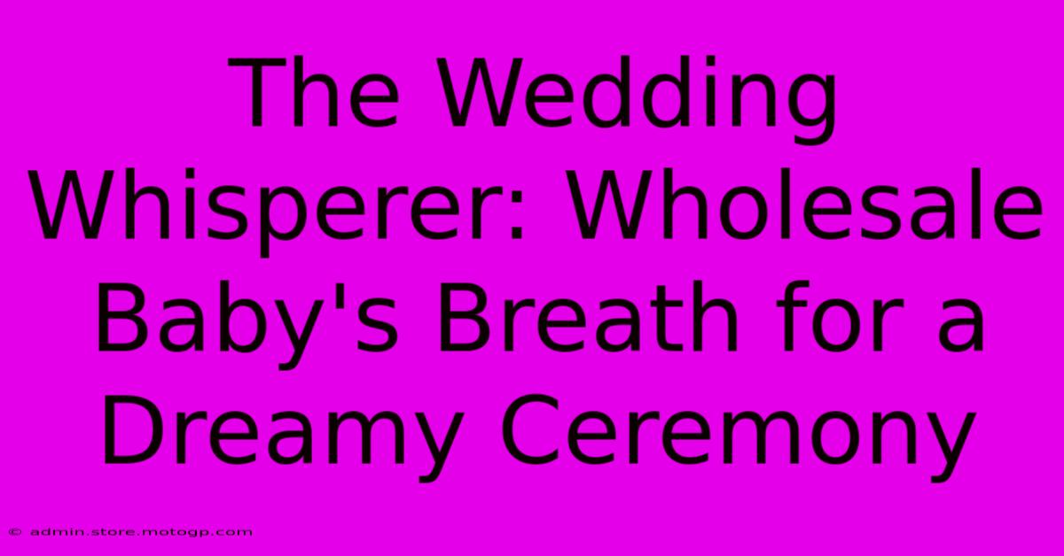 The Wedding Whisperer: Wholesale Baby's Breath For A Dreamy Ceremony