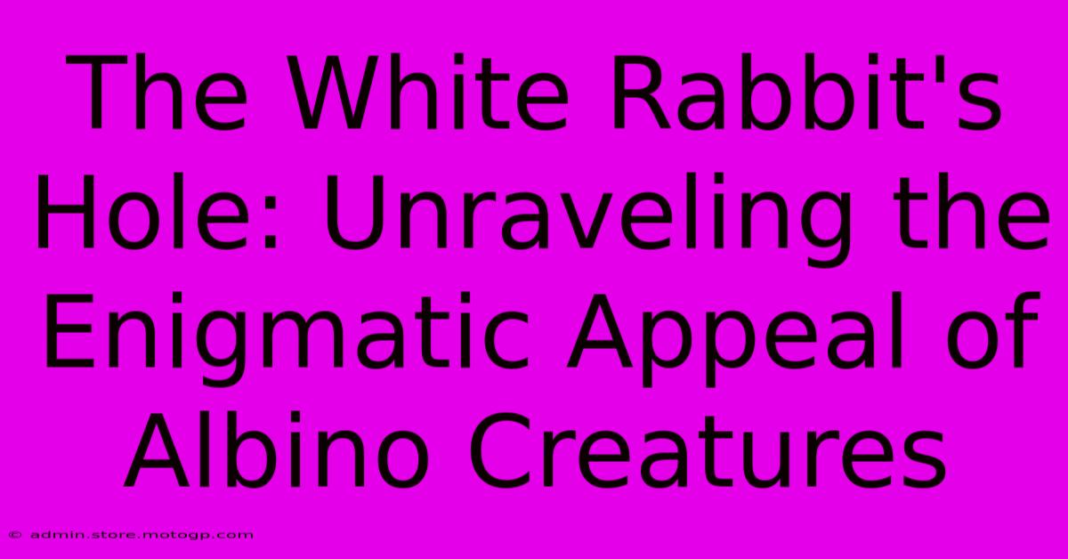 The White Rabbit's Hole: Unraveling The Enigmatic Appeal Of Albino Creatures