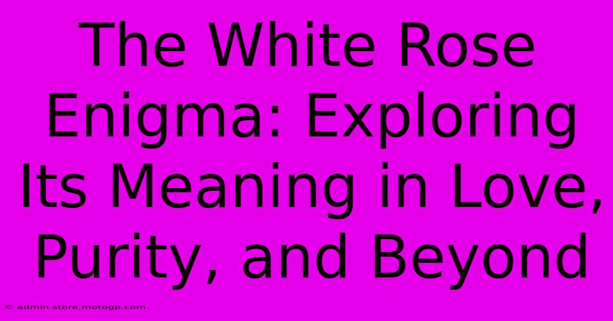 The White Rose Enigma: Exploring Its Meaning In Love, Purity, And Beyond