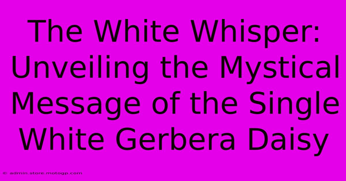 The White Whisper: Unveiling The Mystical Message Of The Single White Gerbera Daisy