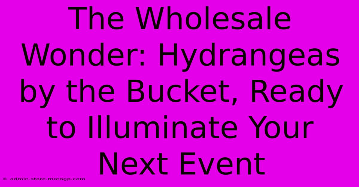 The Wholesale Wonder: Hydrangeas By The Bucket, Ready To Illuminate Your Next Event