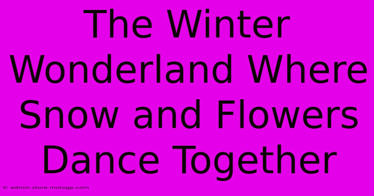 The Winter Wonderland Where Snow And Flowers Dance Together