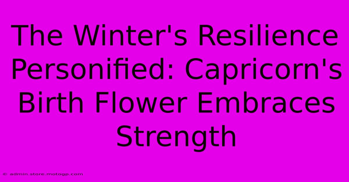 The Winter's Resilience Personified: Capricorn's Birth Flower Embraces Strength