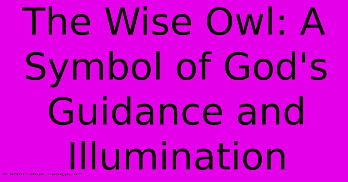 The Wise Owl: A Symbol Of God's Guidance And Illumination