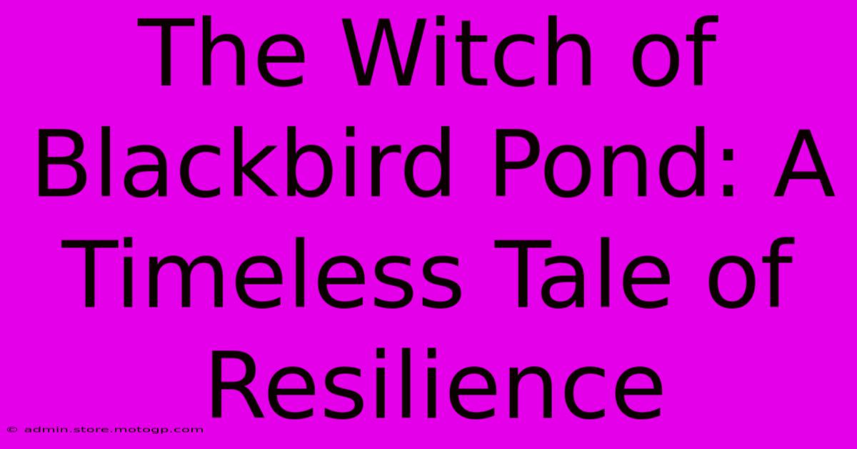 The Witch Of Blackbird Pond: A Timeless Tale Of Resilience