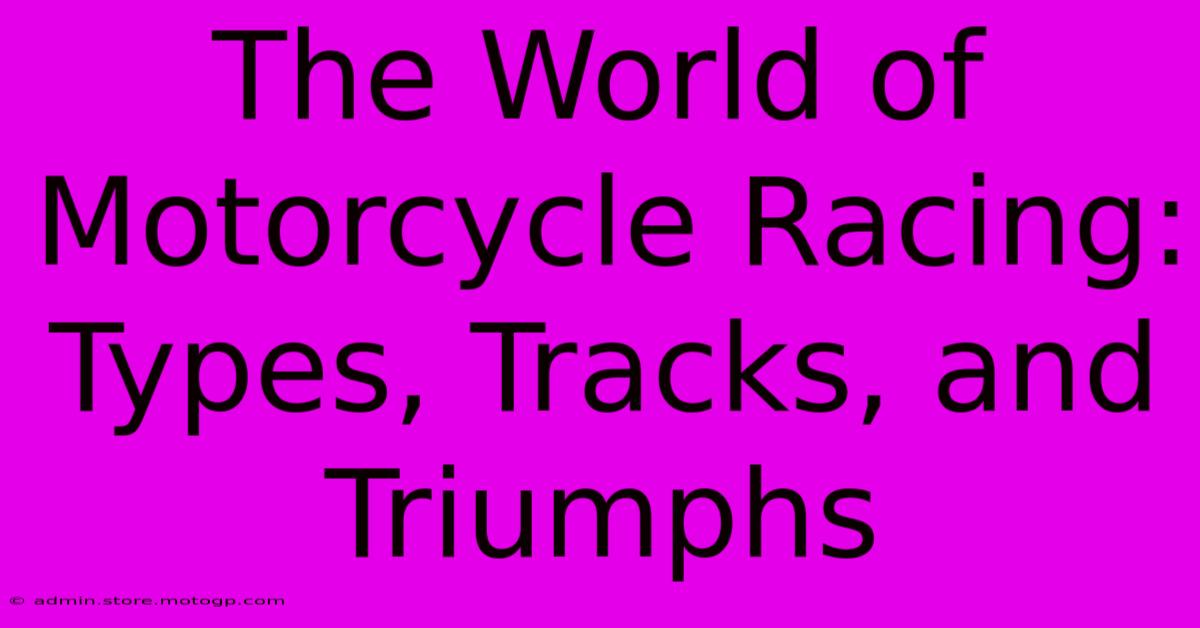 The World Of Motorcycle Racing: Types, Tracks, And Triumphs