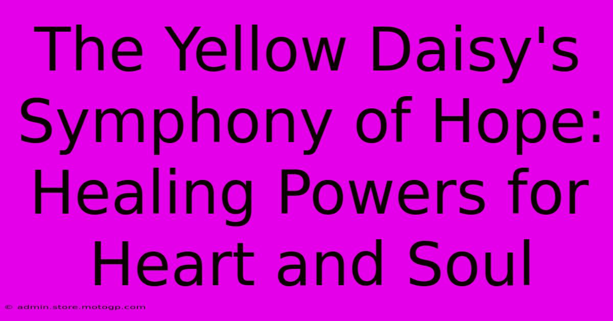 The Yellow Daisy's Symphony Of Hope: Healing Powers For Heart And Soul