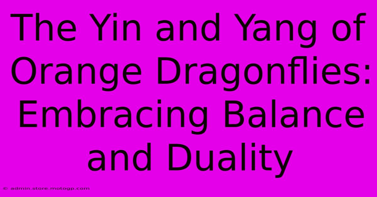 The Yin And Yang Of Orange Dragonflies: Embracing Balance And Duality