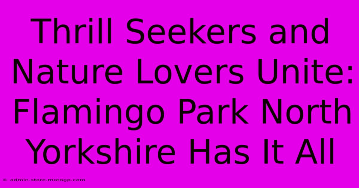 Thrill Seekers And Nature Lovers Unite: Flamingo Park North Yorkshire Has It All