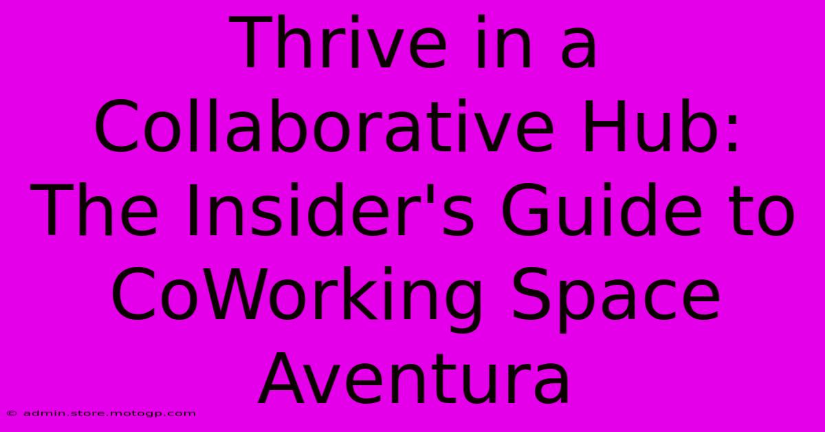 Thrive In A Collaborative Hub: The Insider's Guide To CoWorking Space Aventura