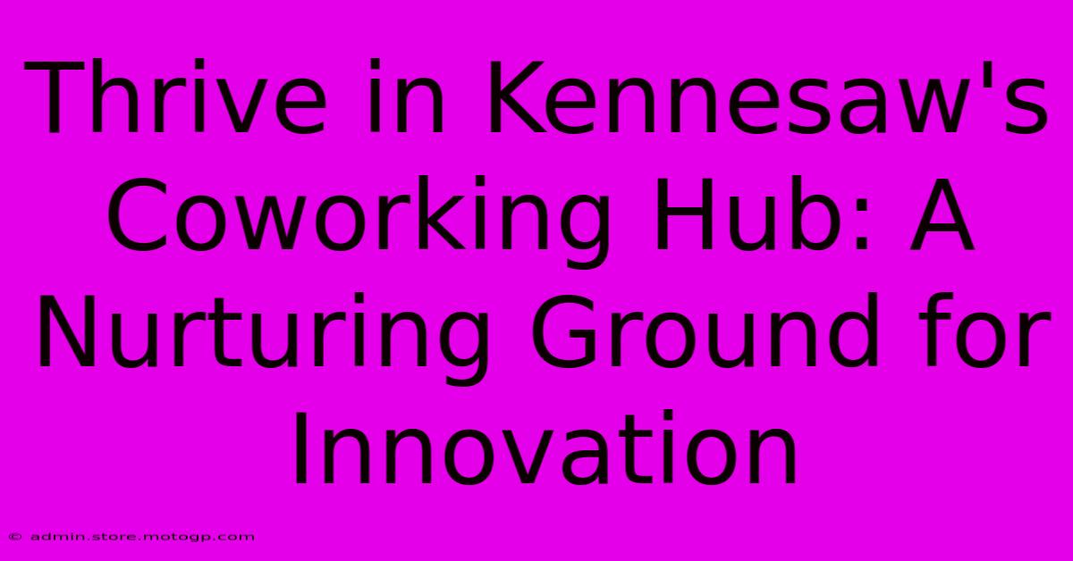 Thrive In Kennesaw's Coworking Hub: A Nurturing Ground For Innovation