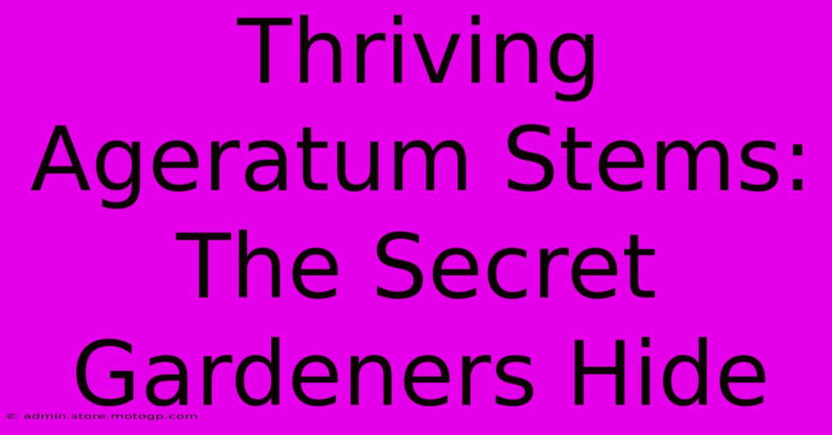 Thriving Ageratum Stems: The Secret Gardeners Hide