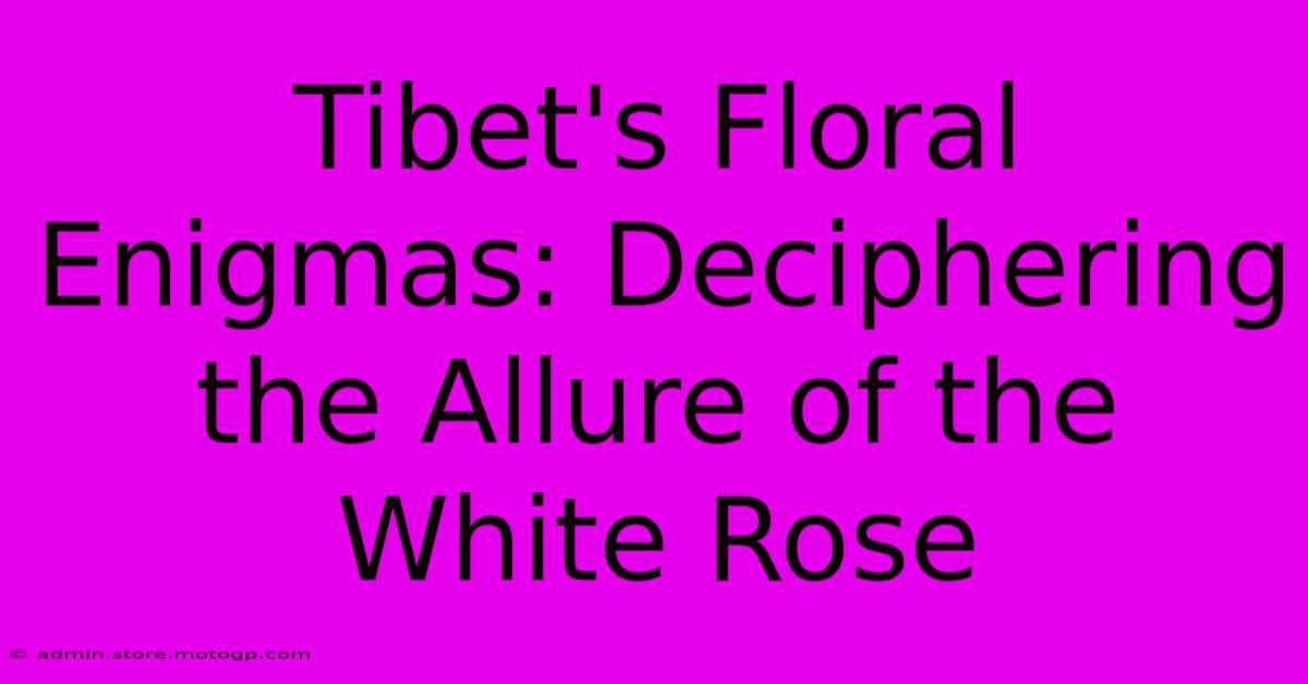 Tibet's Floral Enigmas: Deciphering The Allure Of The White Rose