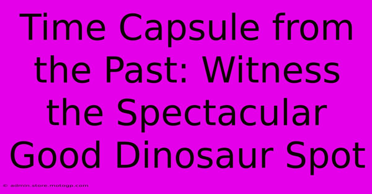 Time Capsule From The Past: Witness The Spectacular Good Dinosaur Spot