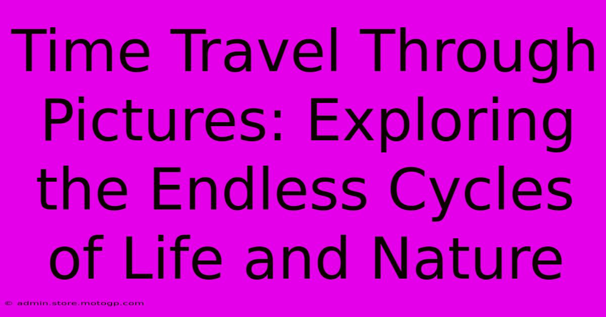 Time Travel Through Pictures: Exploring The Endless Cycles Of Life And Nature