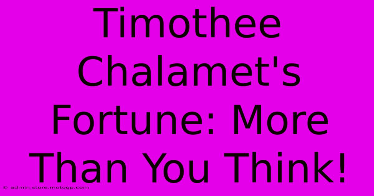 Timothee Chalamet's Fortune: More Than You Think!