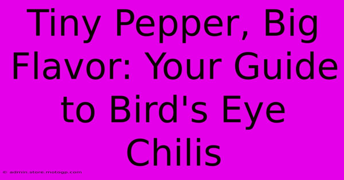 Tiny Pepper, Big Flavor: Your Guide To Bird's Eye Chilis