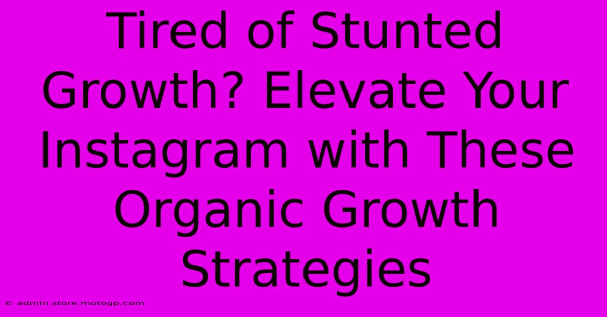 Tired Of Stunted Growth? Elevate Your Instagram With These Organic Growth Strategies