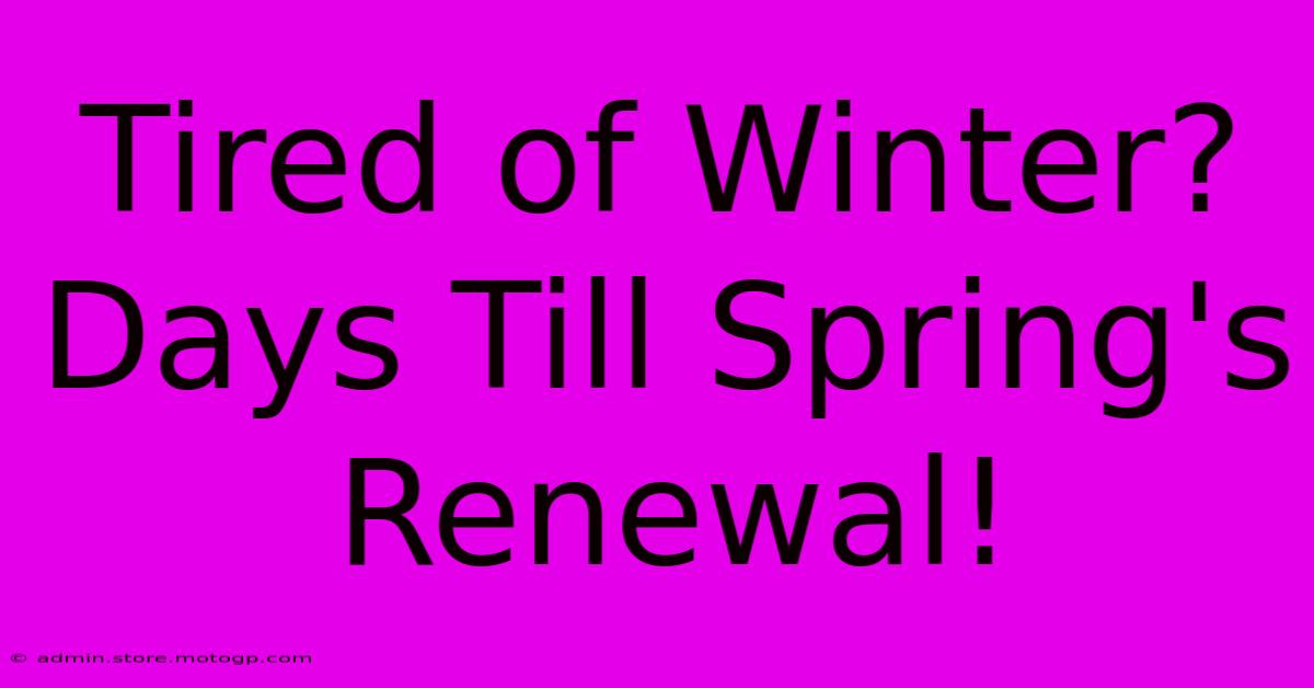 Tired Of Winter? Days Till Spring's Renewal!