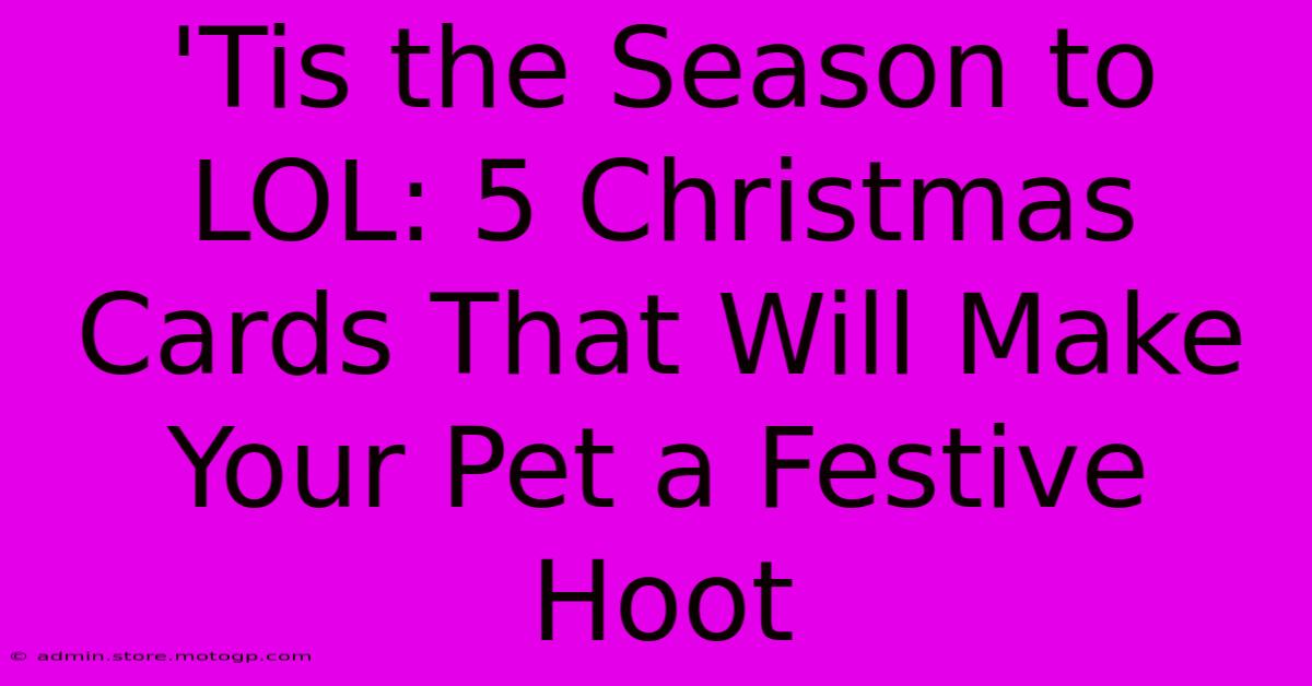 'Tis The Season To LOL: 5 Christmas Cards That Will Make Your Pet A Festive Hoot