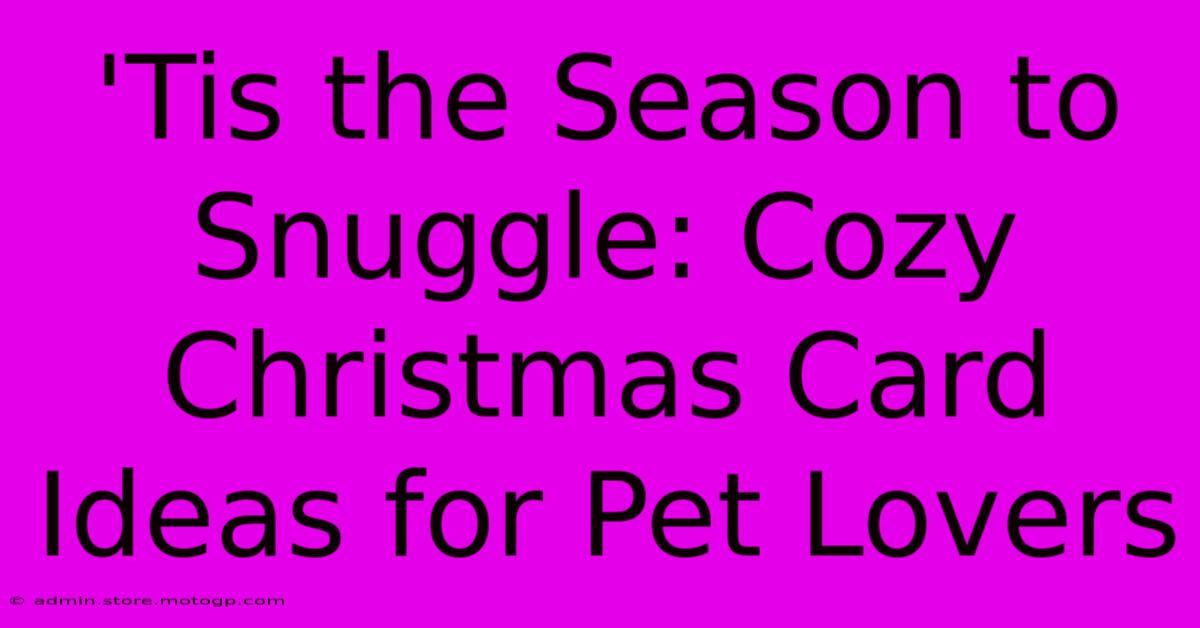 'Tis The Season To Snuggle: Cozy Christmas Card Ideas For Pet Lovers