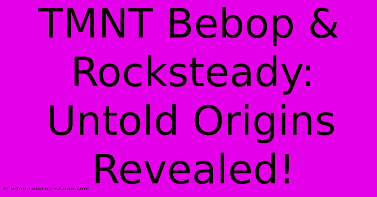 TMNT Bebop & Rocksteady: Untold Origins Revealed!