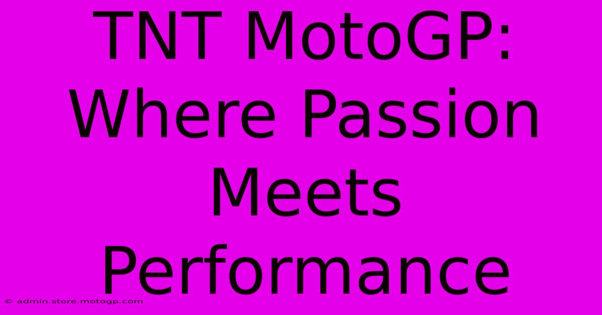 TNT MotoGP: Where Passion Meets Performance