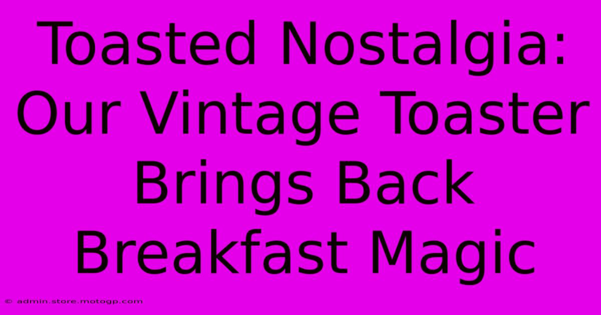 Toasted Nostalgia: Our Vintage Toaster Brings Back Breakfast Magic