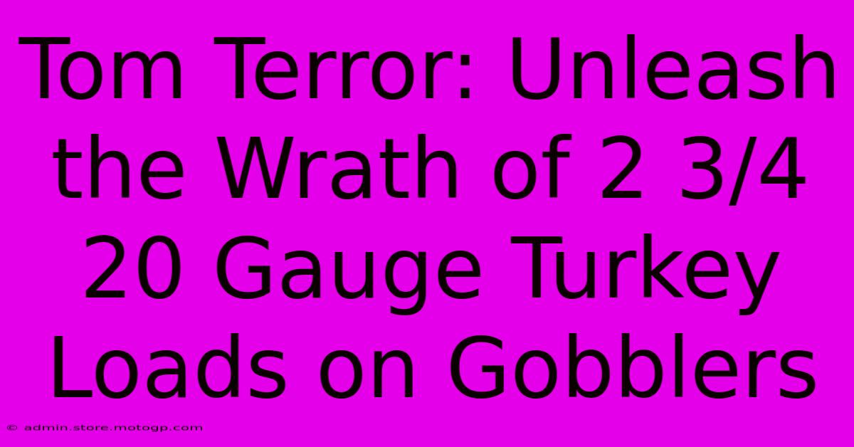 Tom Terror: Unleash The Wrath Of 2 3/4 20 Gauge Turkey Loads On Gobblers