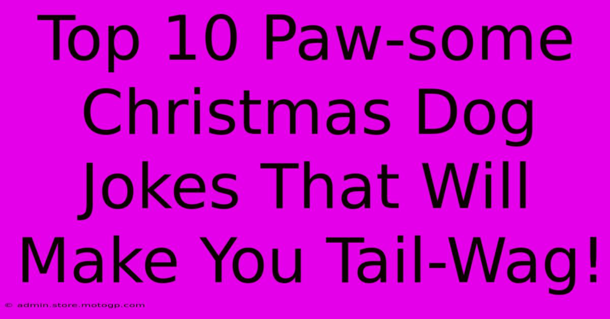 Top 10 Paw-some Christmas Dog Jokes That Will Make You Tail-Wag!