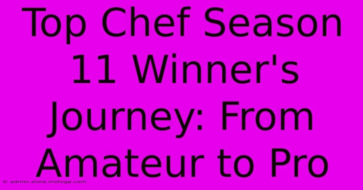 Top Chef Season 11 Winner's Journey: From Amateur To Pro