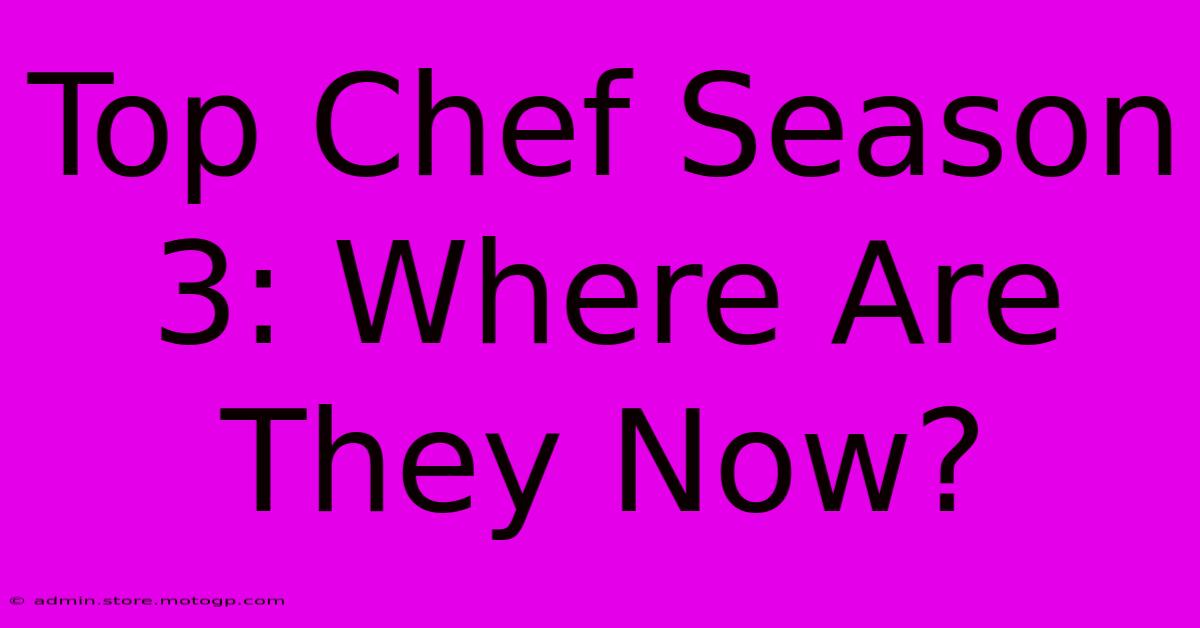 Top Chef Season 3: Where Are They Now?