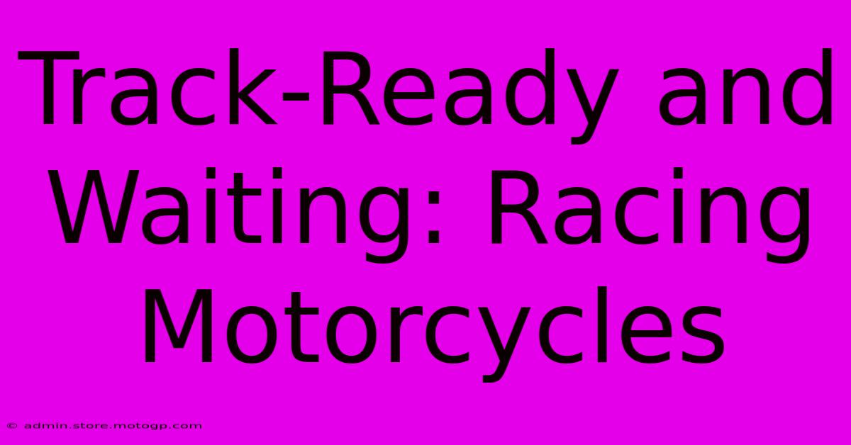 Track-Ready And Waiting: Racing Motorcycles