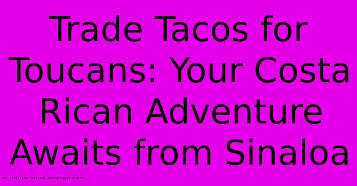 Trade Tacos For Toucans: Your Costa Rican Adventure Awaits From Sinaloa