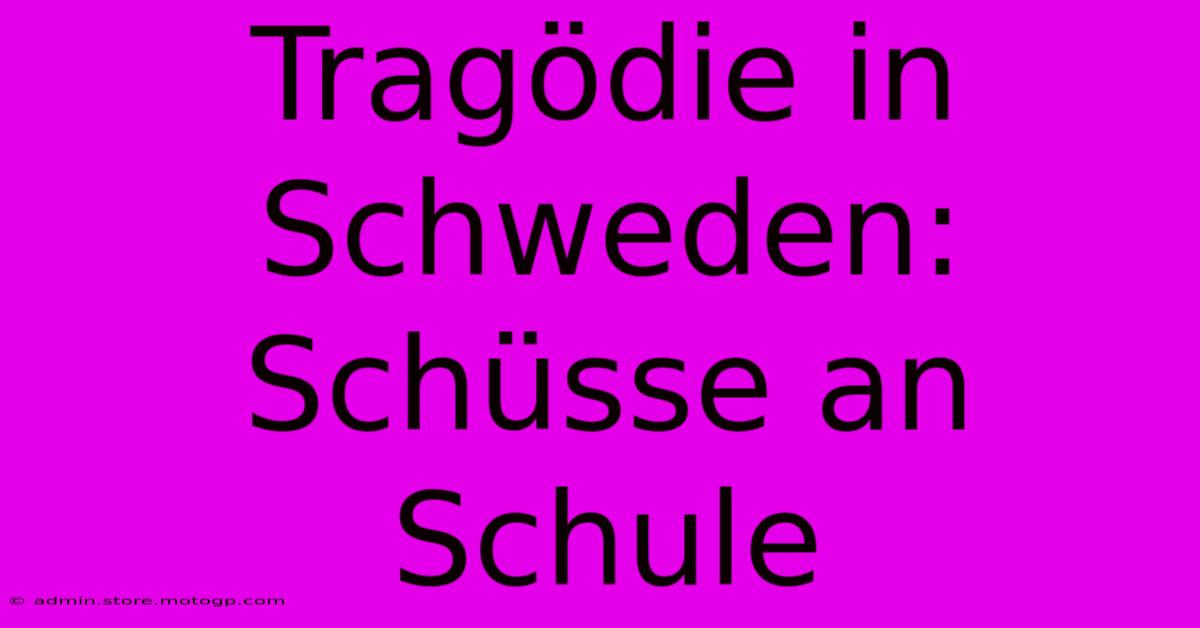 Tragödie In Schweden: Schüsse An Schule