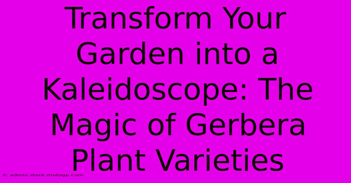 Transform Your Garden Into A Kaleidoscope: The Magic Of Gerbera Plant Varieties