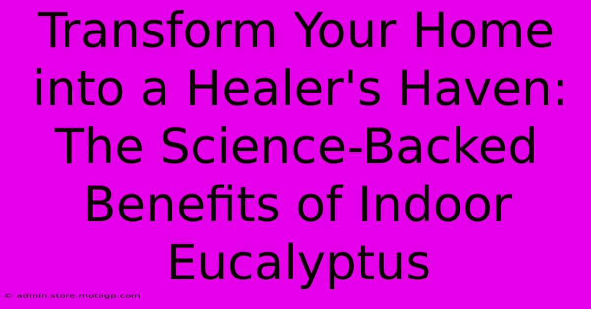 Transform Your Home Into A Healer's Haven: The Science-Backed Benefits Of Indoor Eucalyptus