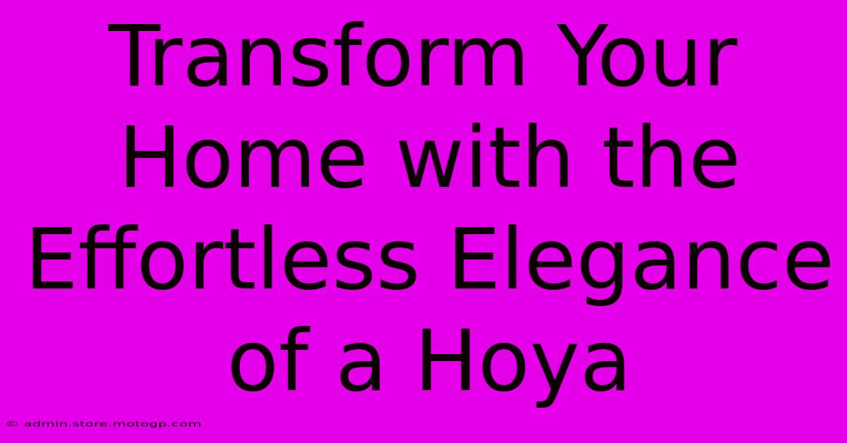 Transform Your Home With The Effortless Elegance Of A Hoya