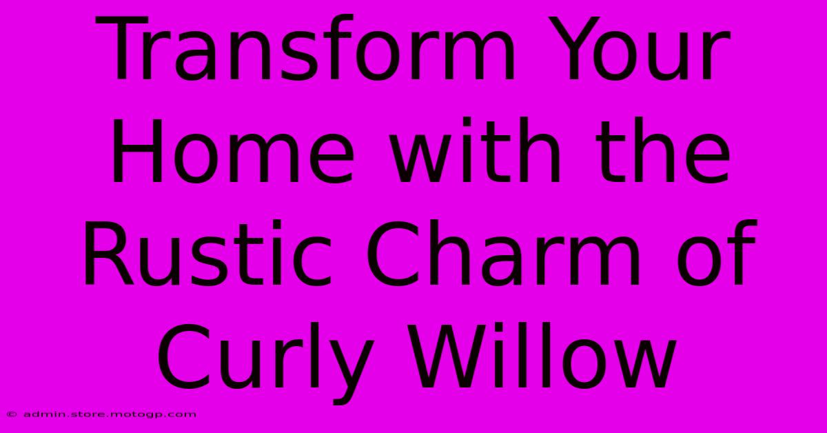 Transform Your Home With The Rustic Charm Of Curly Willow