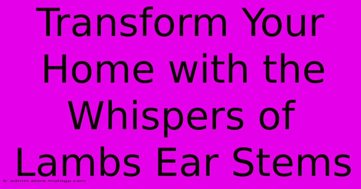 Transform Your Home With The Whispers Of Lambs Ear Stems