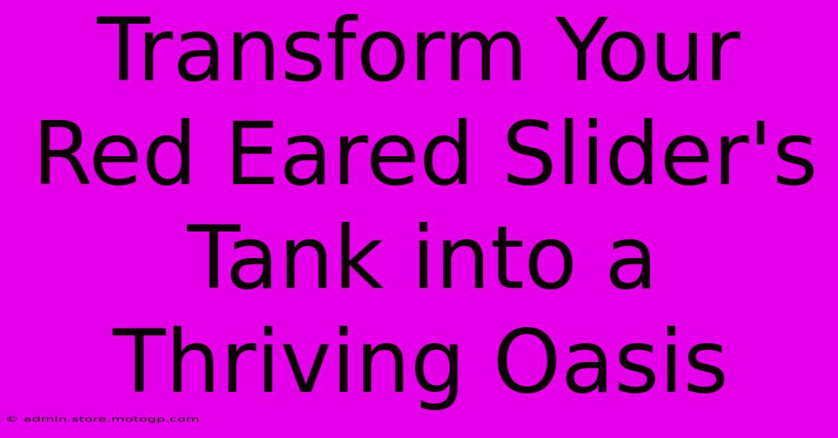 Transform Your Red Eared Slider's Tank Into A Thriving Oasis