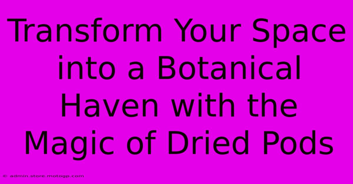 Transform Your Space Into A Botanical Haven With The Magic Of Dried Pods