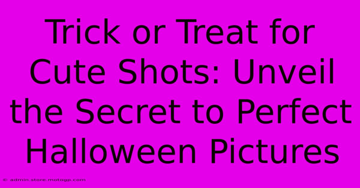 Trick Or Treat For Cute Shots: Unveil The Secret To Perfect Halloween Pictures