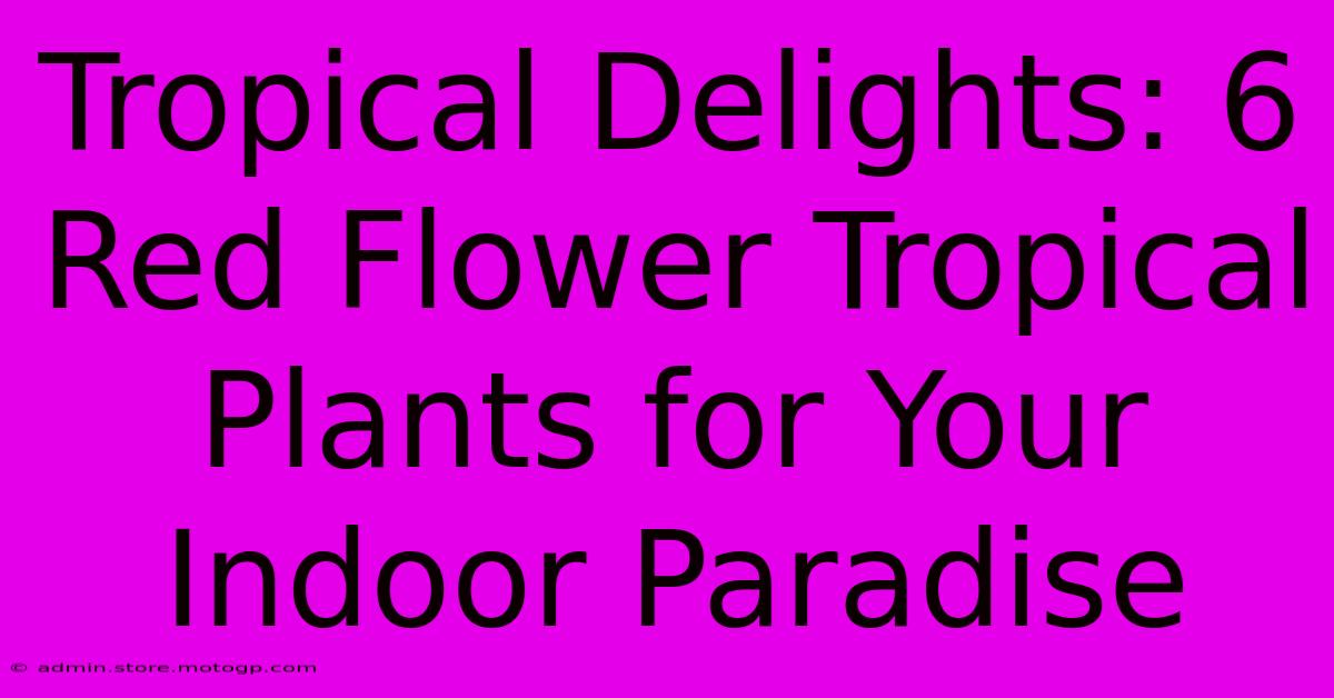 Tropical Delights: 6 Red Flower Tropical Plants For Your Indoor Paradise