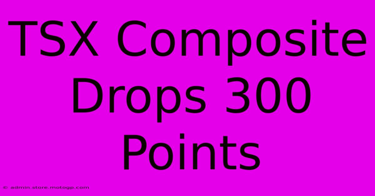 TSX Composite Drops 300 Points