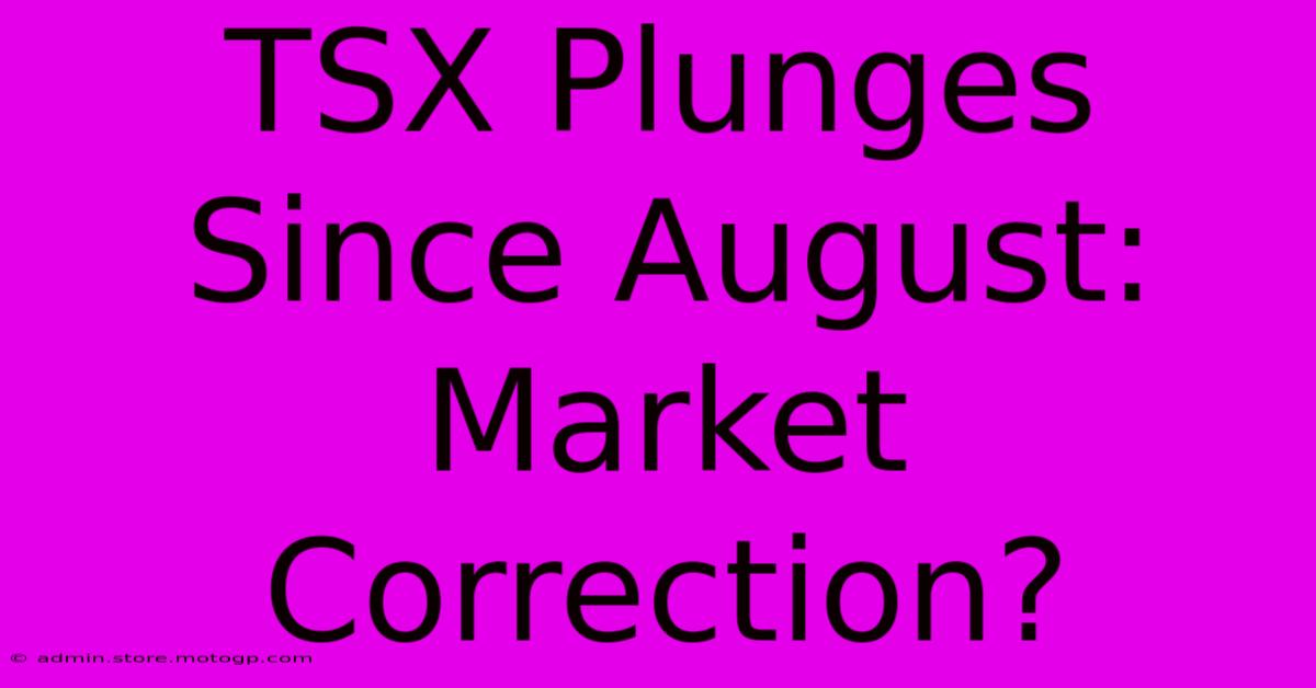 TSX Plunges Since August: Market Correction?