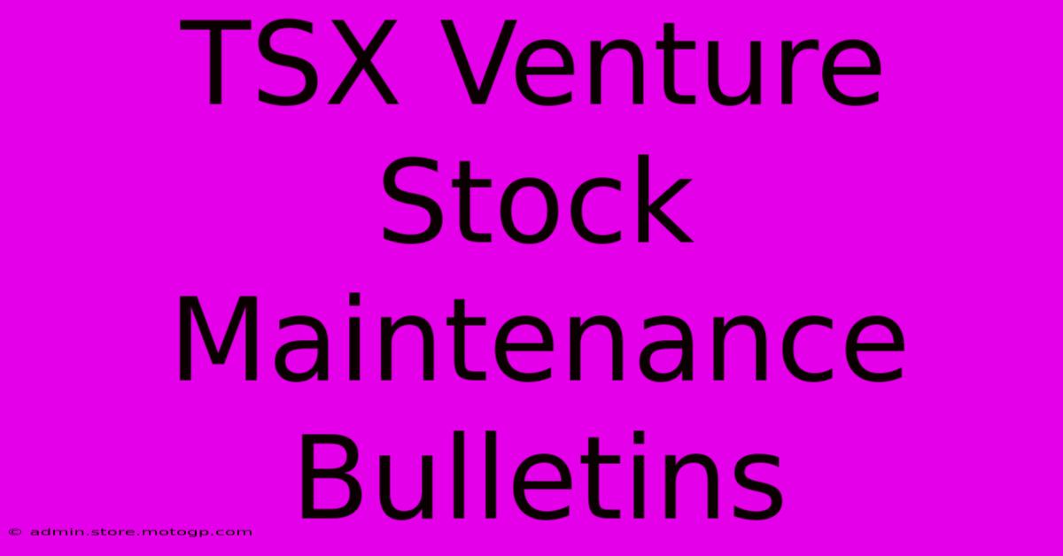 TSX Venture Stock Maintenance Bulletins