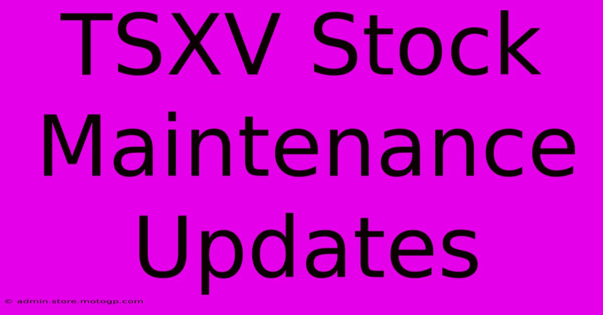 TSXV Stock Maintenance Updates